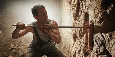 Illustration stem - Image 1