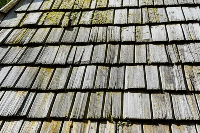 Illustration shakes - Image 1