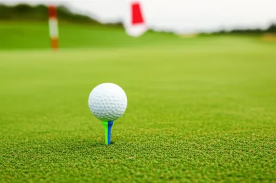 Illustration tees - Image 1