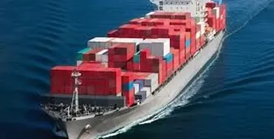 Illustration cargo - Image 2