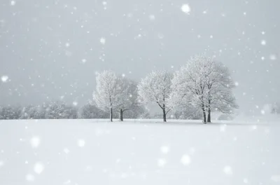 Illustration snows - Image 1