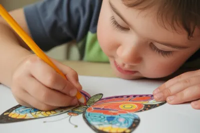 Illustration near - Image 1