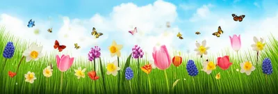 Illustration springy - Image 1