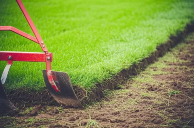 Illustration paring - Image 1