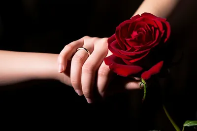 Illustration affair - Image 1