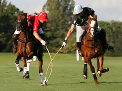 Illustration polo - Image 2