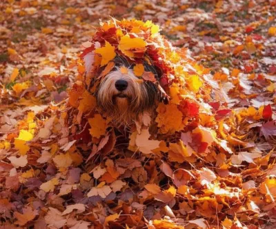 Illustration piled - Image 1