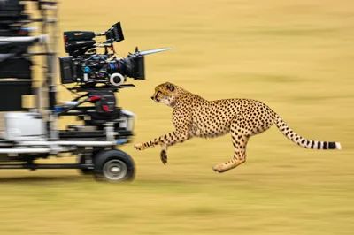 Illustration trucks - Image 1