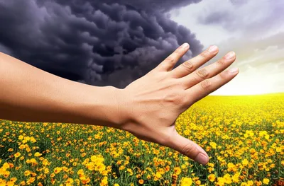 Illustration repealing - Image 1