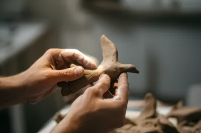 Illustration informs - Image 1