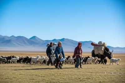 Illustration nomad - Image 1