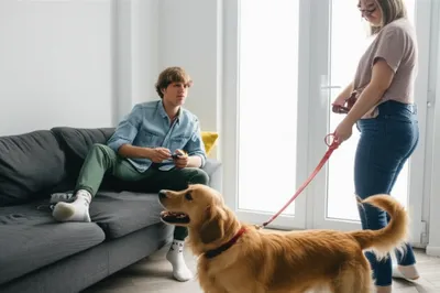 Illustration whipped - Image 1