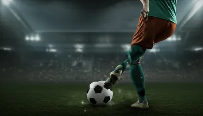 Illustration foot - Image 1