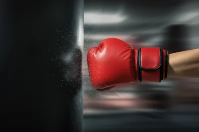 Illustration h - Image 1