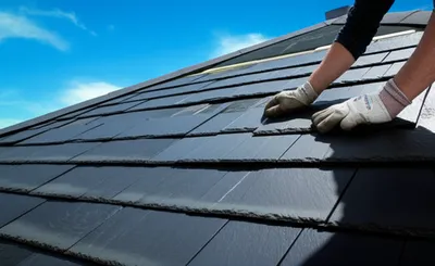 Illustration slated - Image 1