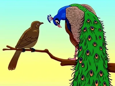 Illustration piquing