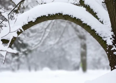 Illustration coping - Image 1