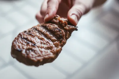 Illustration dogs - Image 1