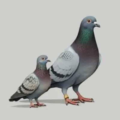 Illustration runt - Image 1