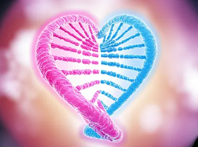 Illustration marriages - Image 1