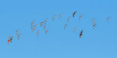 Illustration truths - Image 1