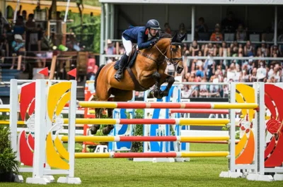 Illustration showjumping