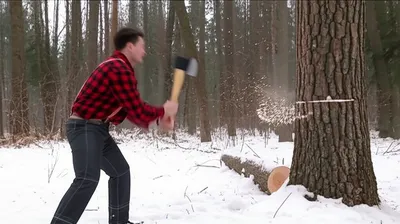 Illustration woodcutters