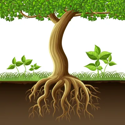 Illustration dependent - Image 1