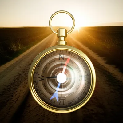 Illustration wry - Image 1