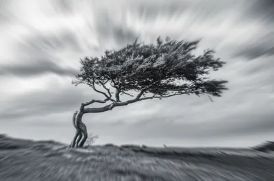 Illustration sways - Image 1