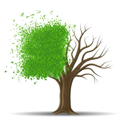 Illustration fail - Image 1