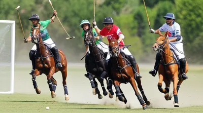 Illustration polo - Image 1