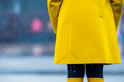 Hình ảnh minh họa waterproofs - Ảnh 1