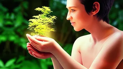 Illustration own - Image 1