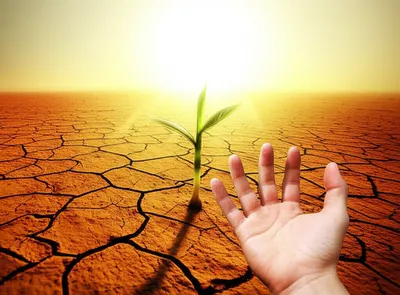 Illustration sparing - Image 1