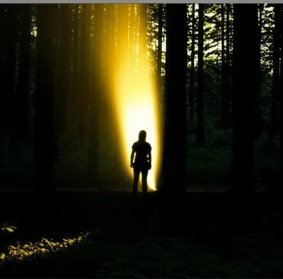 Illustration enlightened - Image 1