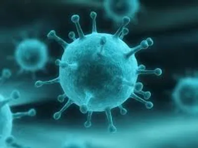 Illustration germ - Image 2