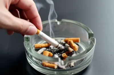 Illustration snub - Image 1