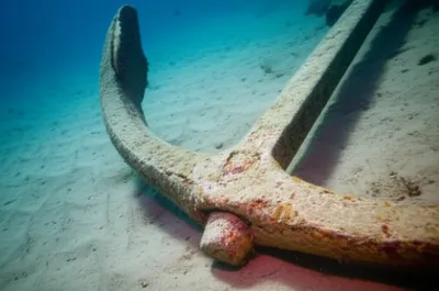 Illustration throat - Image 1