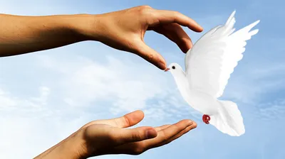 Illustration grants - Image 1