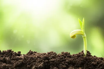 Illustration positive - Image 1