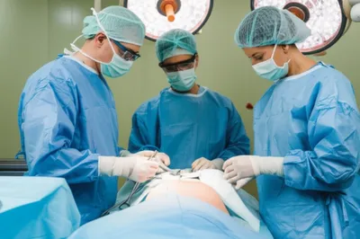 Illustration sections - Image 1