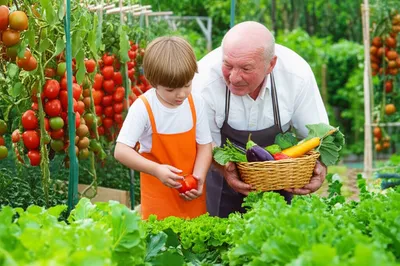 Illustration returns - Image 1