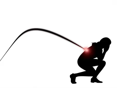 Illustration whips - Image 1