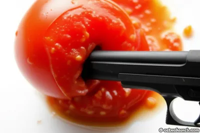 Illustration mash - Image 1