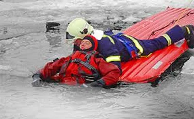 Illustration deliver - Image 3