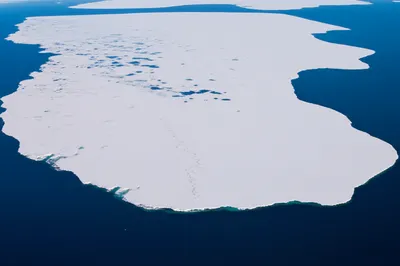 Illustration floe - Image 1