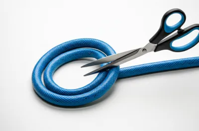 Illustration clipping - Image 1