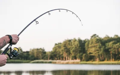 Illustration jerk - Image 1