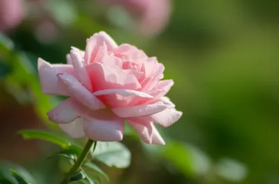 Illustration fairer - Image 1